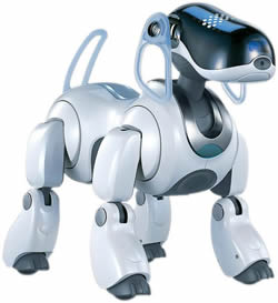20070614085803-aibo3.jpg